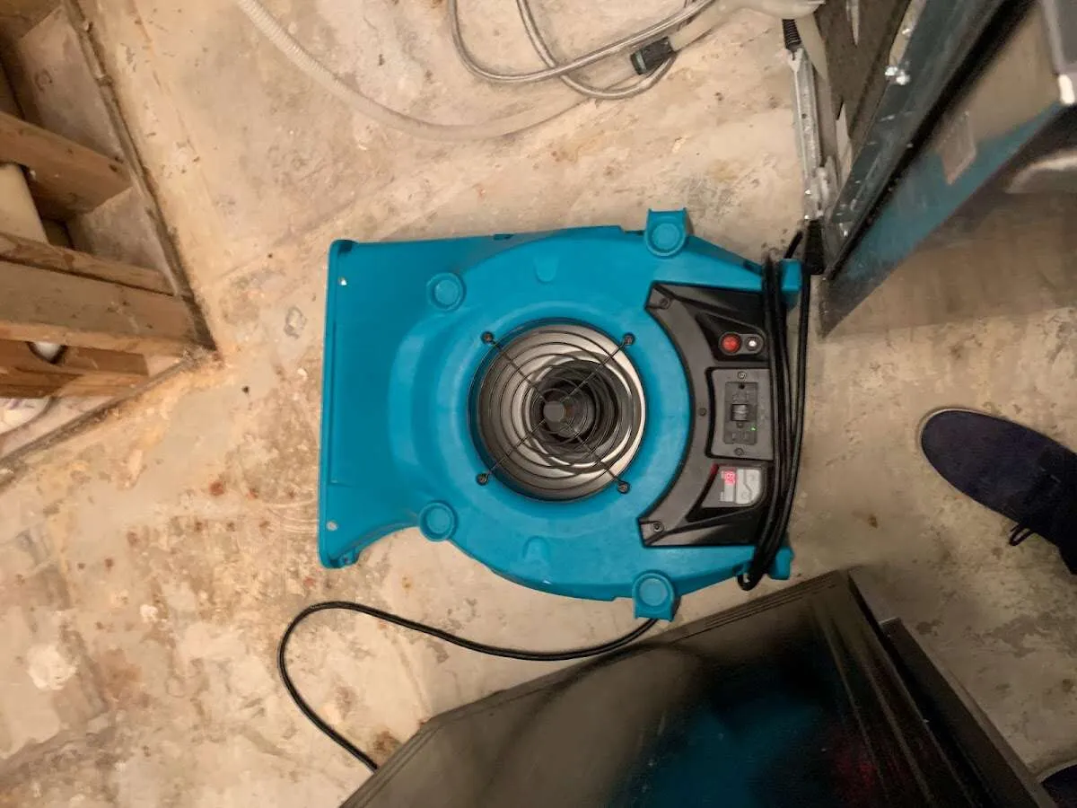 Air mover drying equipment for Mold Remediation & Removal in Groveton
