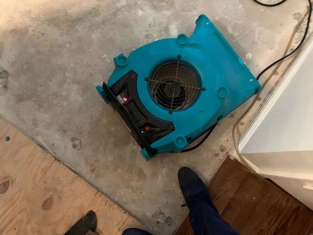 Air mover drying subfloor during Leak Detection & Repair in Groveton